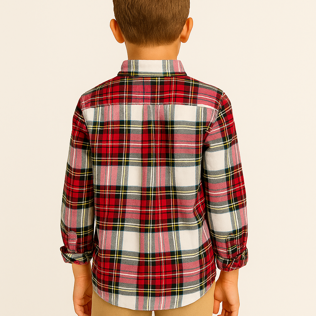 Tommy Hilfiger Boy's Multi Plaid Long Sleeve Button-Down Shirt