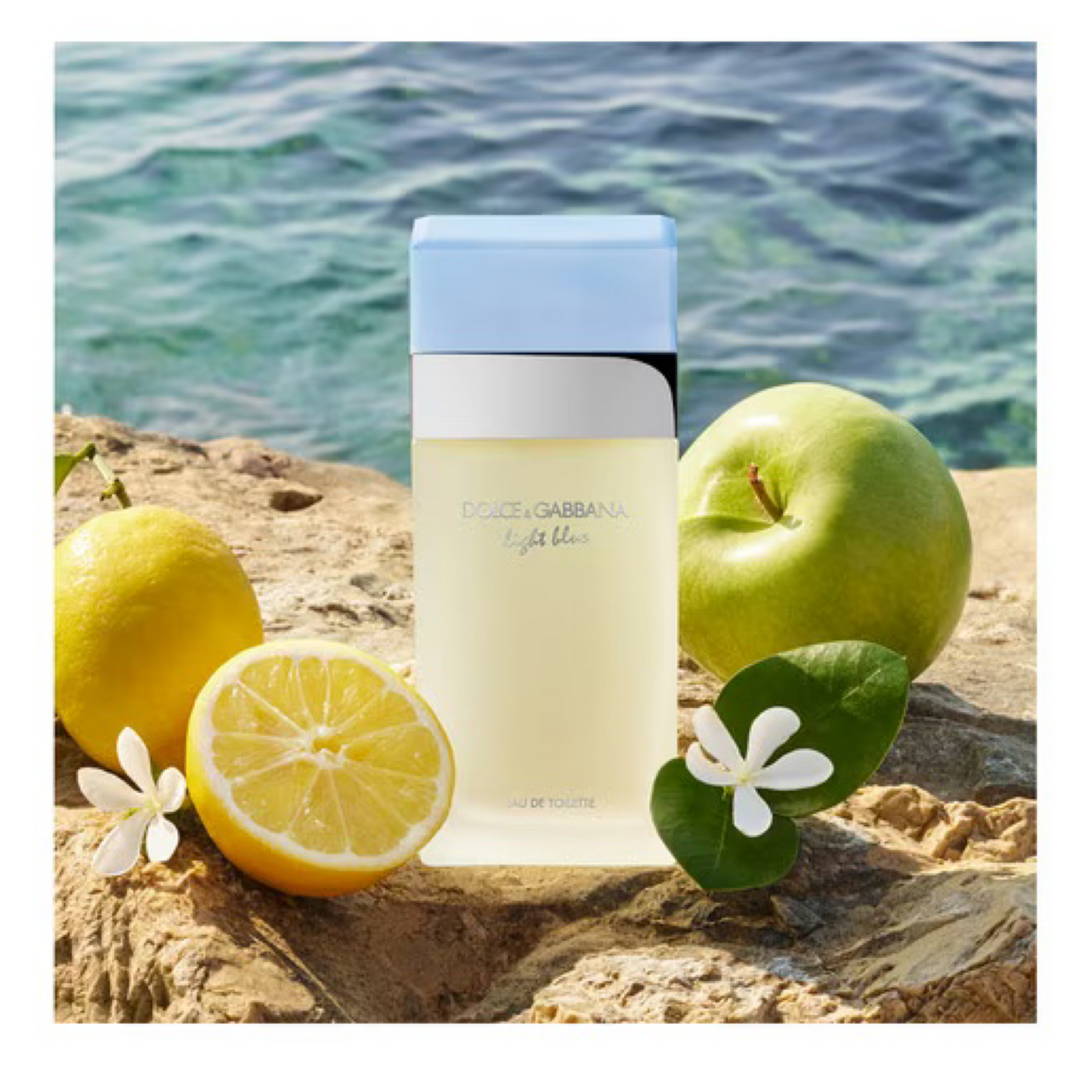 Dolce & Gabbana Ladies Light Blue EDT