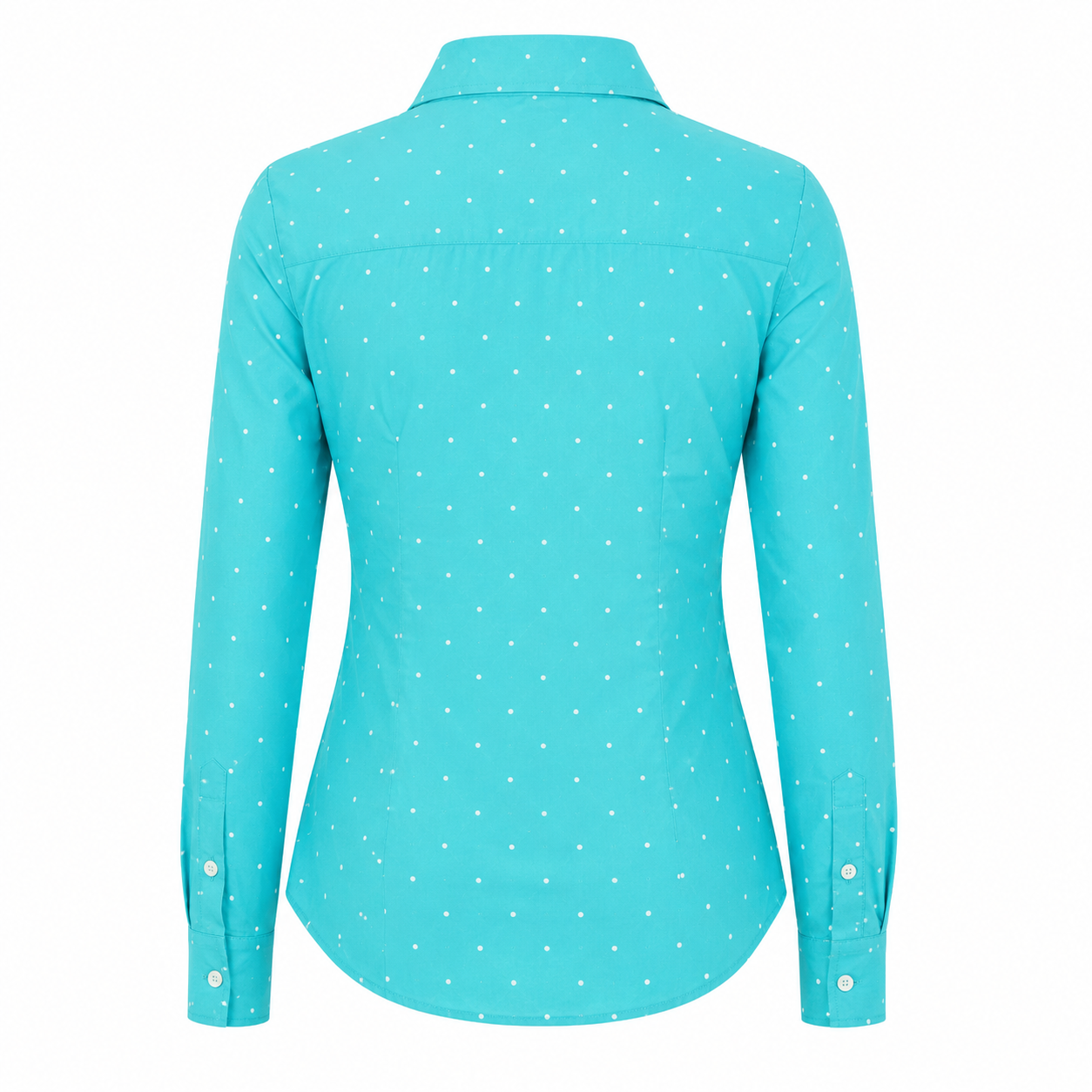 U.S Polo Assn Striped Poplin Long Sleeve Shirt