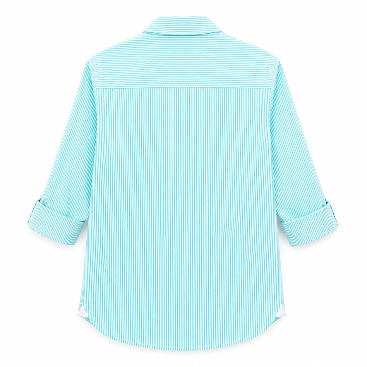 U.S Polo Striped Poplin Long Sleeve Shirt