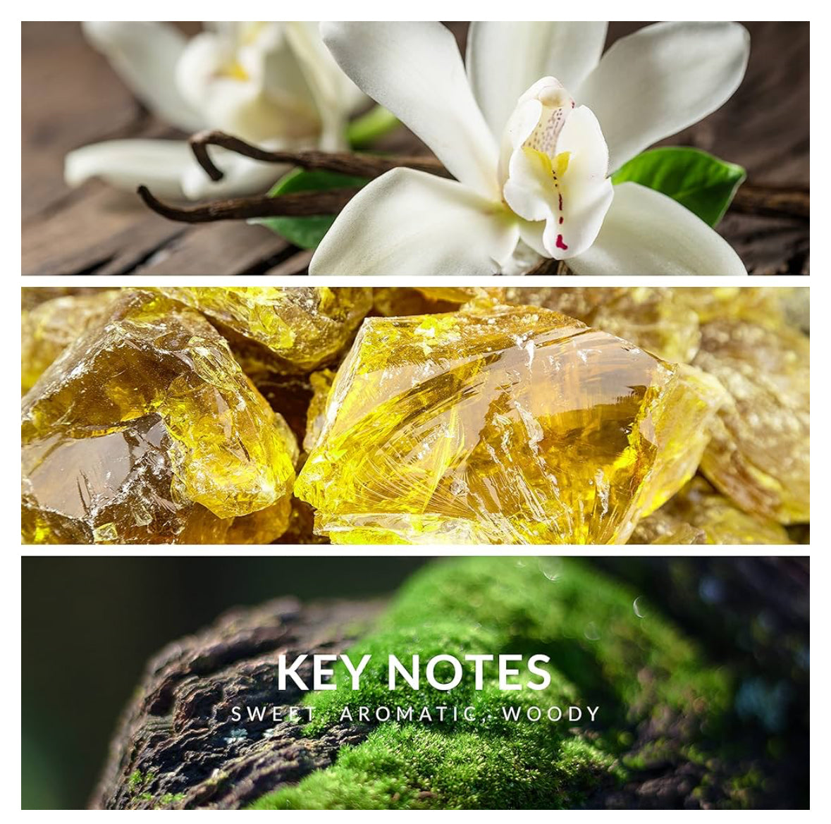 Reyane Tradition Insurrection EDT 100ml