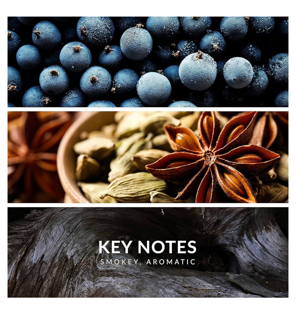 Reyane Tradition Insurrection Ii Pure Extreme Eau De Parfum Spray