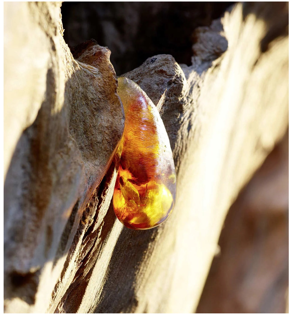 Christian Dior Sauvage Men's Eau de Toilette