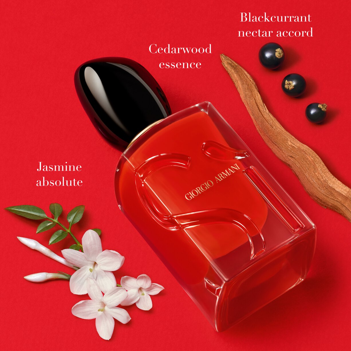 Giorgio Armani Si Passione For Her 100ML EAU De Parfum Spray