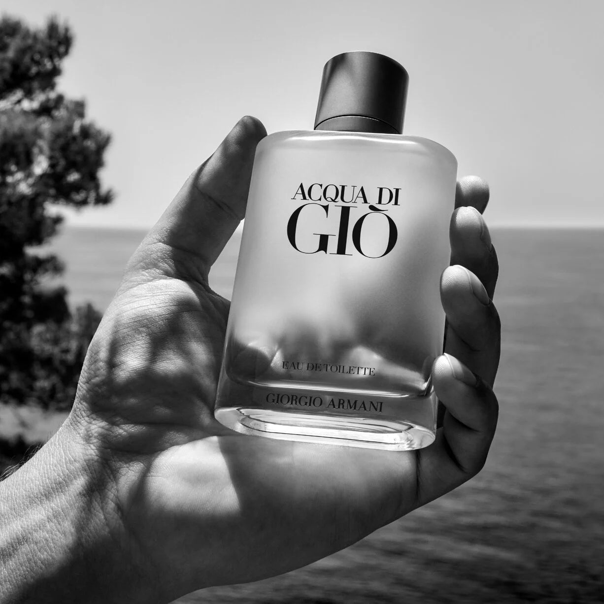 Giorgio Armani Acqua di Giò Homme Eau de Toilette
