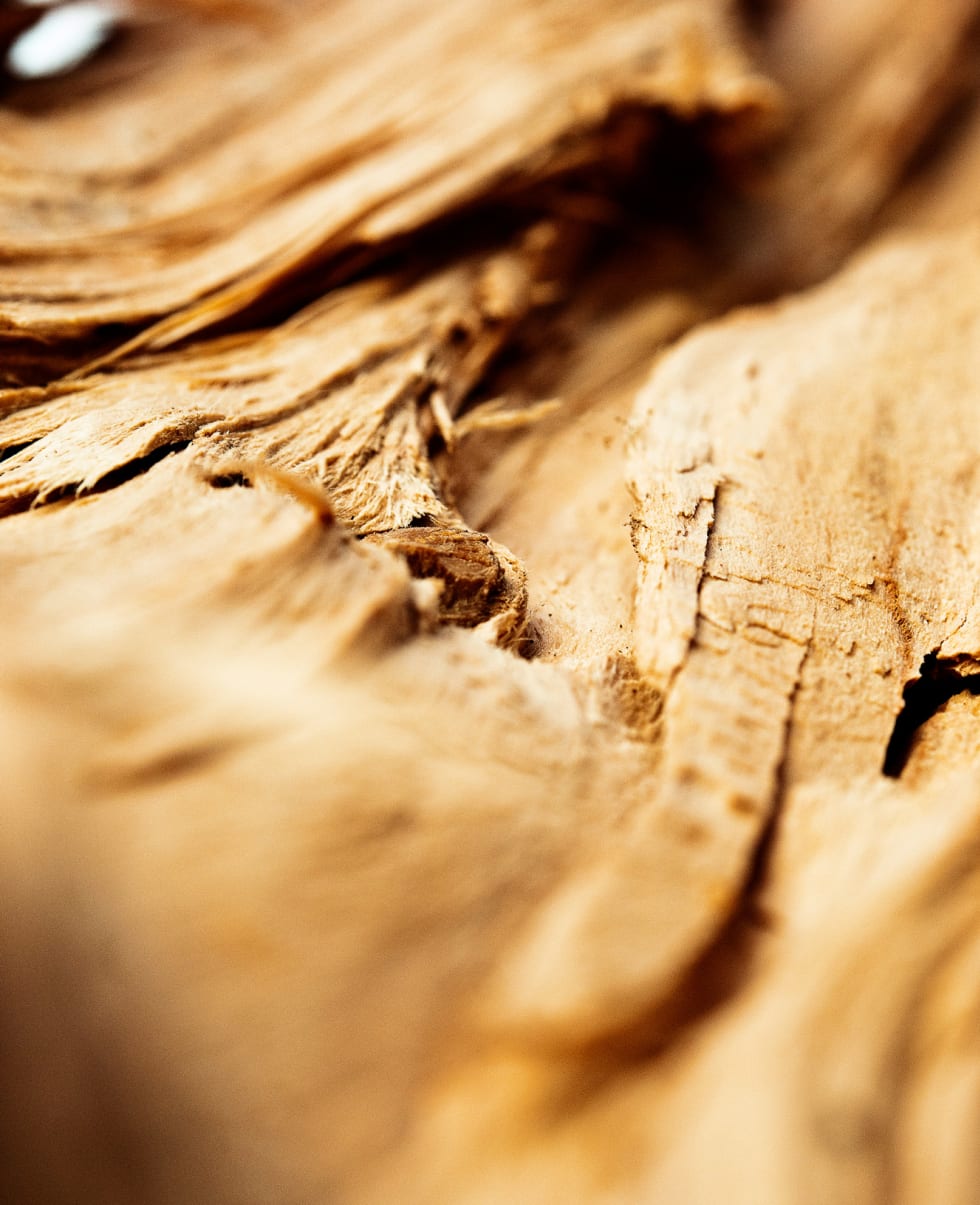 Davidoff Cool Water EDT Spray For Women