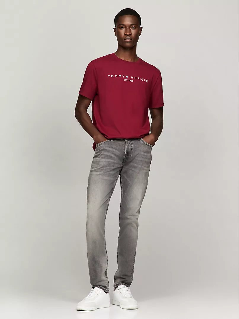 Tommy Hilfiger LOGO - Print T-shirt