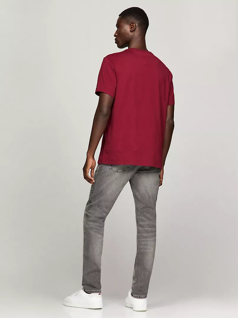 Tommy Hilfiger LOGO - Print T-shirt