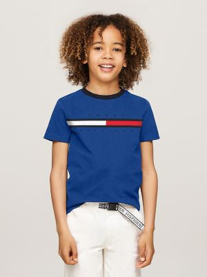 Tommy Hilfiger Kids' Flag Polo