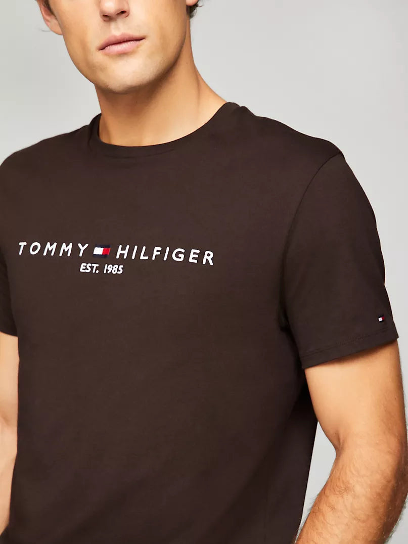 Tommy Hilfiger Embroidered Tommy Logo T-Shirt