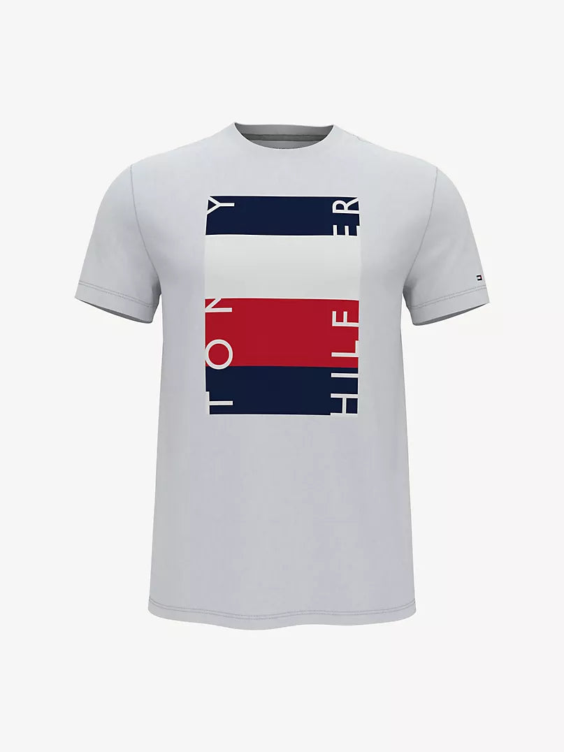 Tommy Hilfiger Essential Tommy Block T-Shirt
