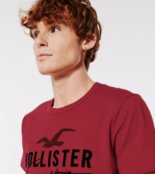Hollister icon logo t-shirt