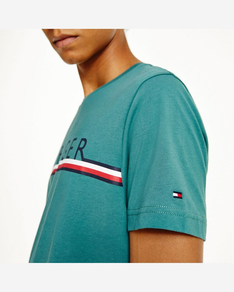 Tommy Hilfiger Boy Up Logo T-Shirt