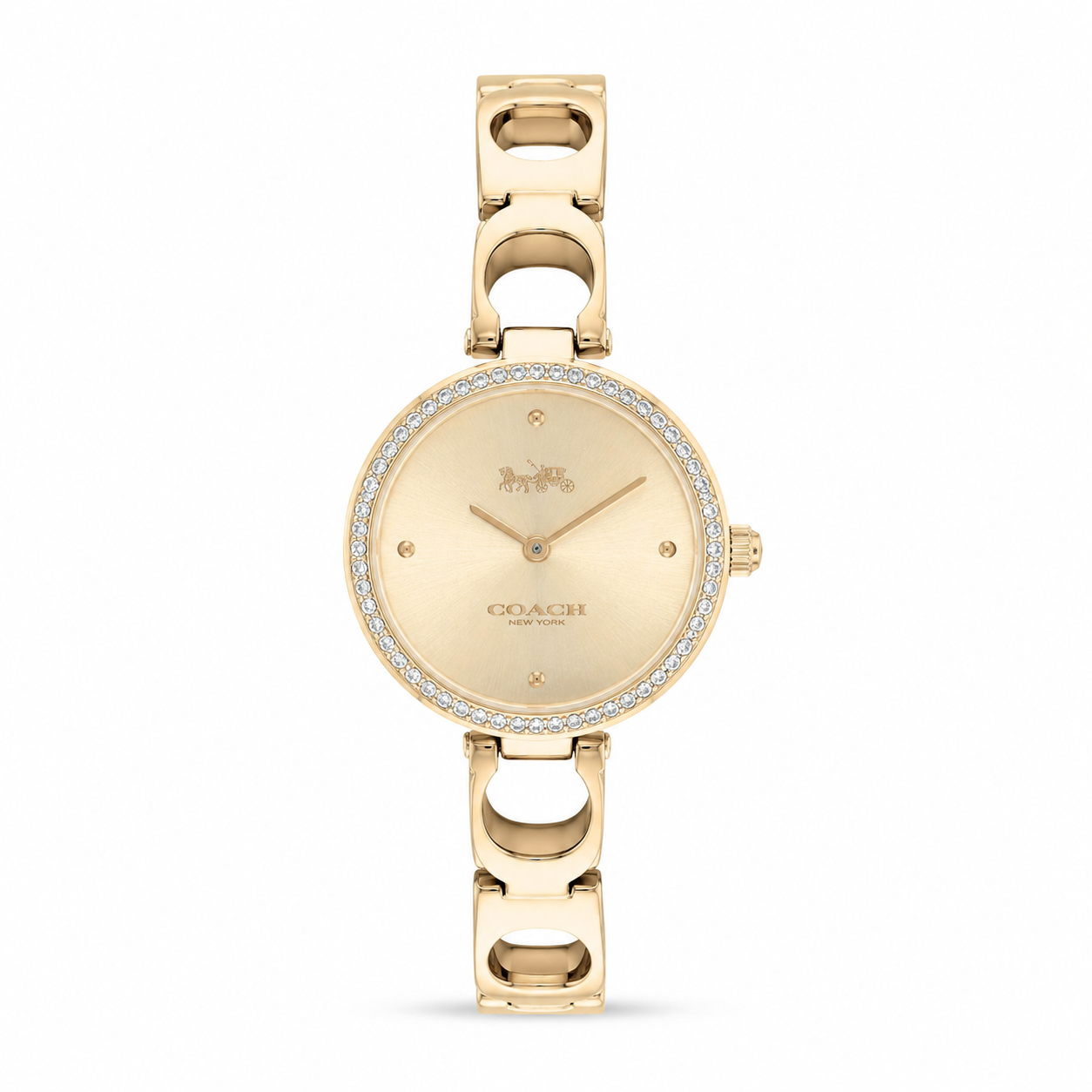 COACH Park watch