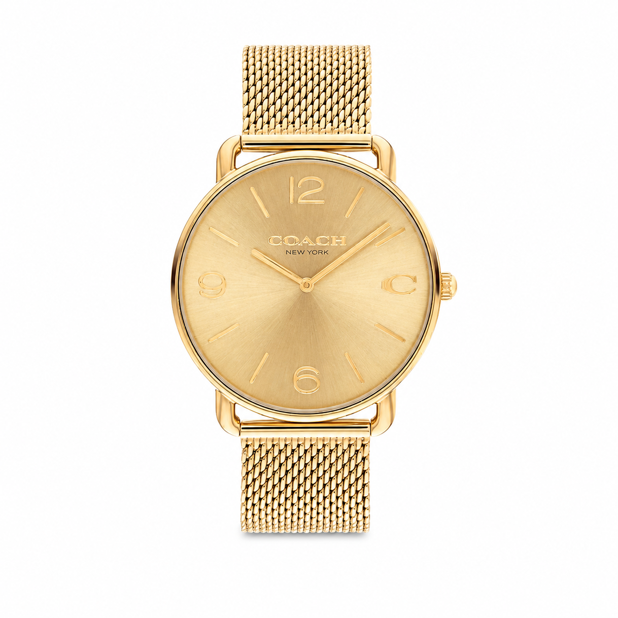 Coach Elliot Watch