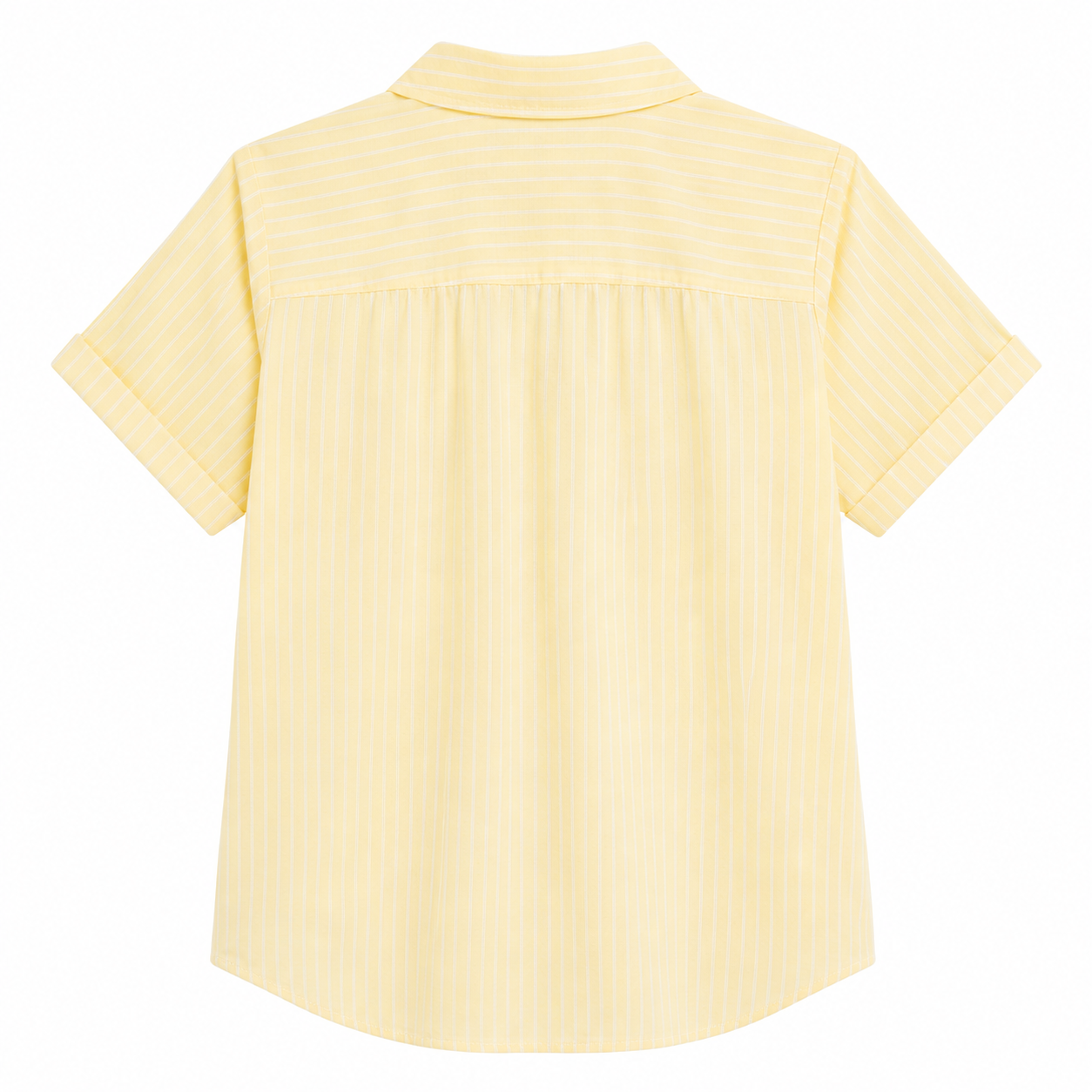 Tommy Hilfiger Petite Wrinkle Free No Iron Shirt