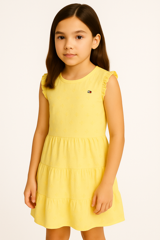 Tommy Hilfiger Kids' Sleeveless Embroidered Tiered Dress