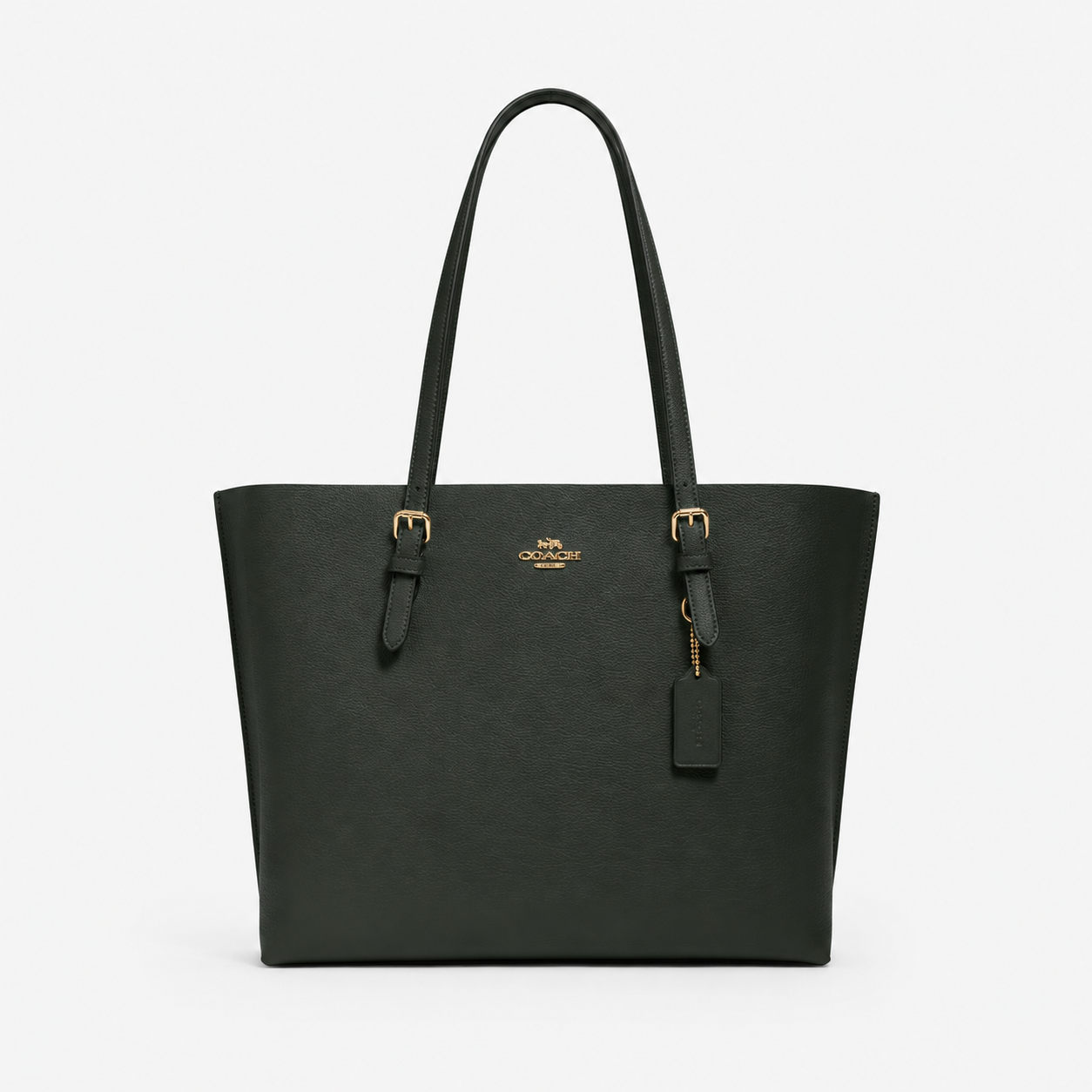 Coach Signature Mollie Tote