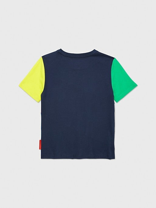 Tommy Hilfiger TOMMY ADAPTIVE Colorblock Flag T-Shirt