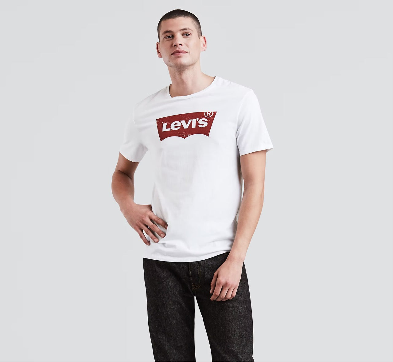 Levi’s Housemark Graphic Tee 3