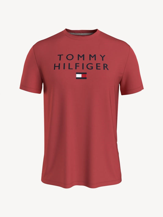 Tommy Hilfiger R-NECK T- shirt