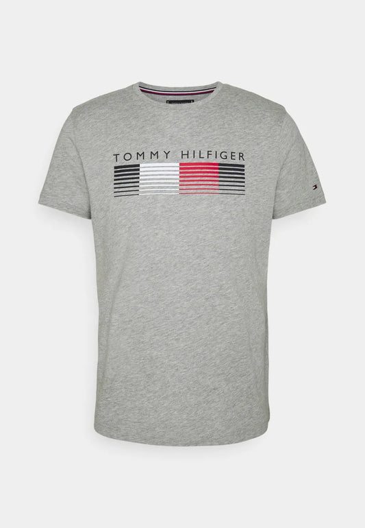 Tommy Hilfiger Fade Graphic Corp Short Sleeve T-Shirt