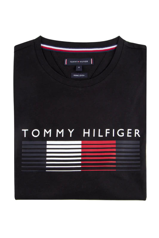 Tommy Hilfiger Graphic Tee