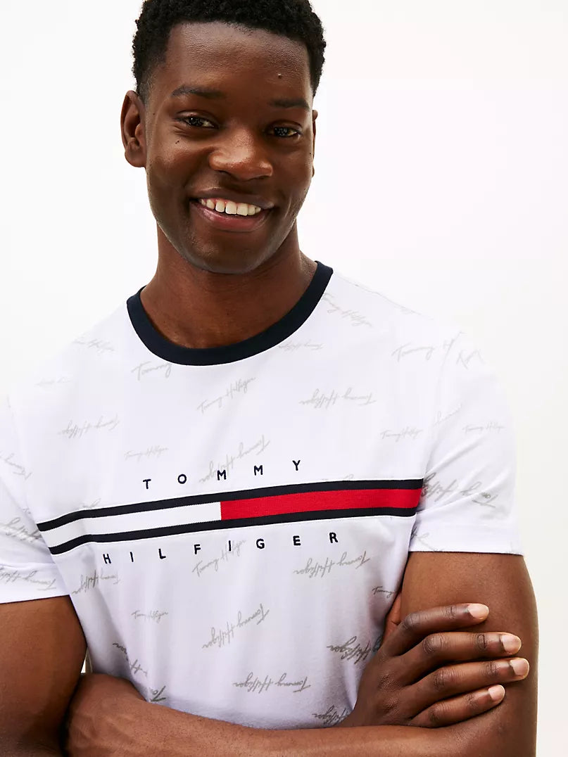 Tommy Hilfiger-Signature Flag Stripe Logo T-Shirt