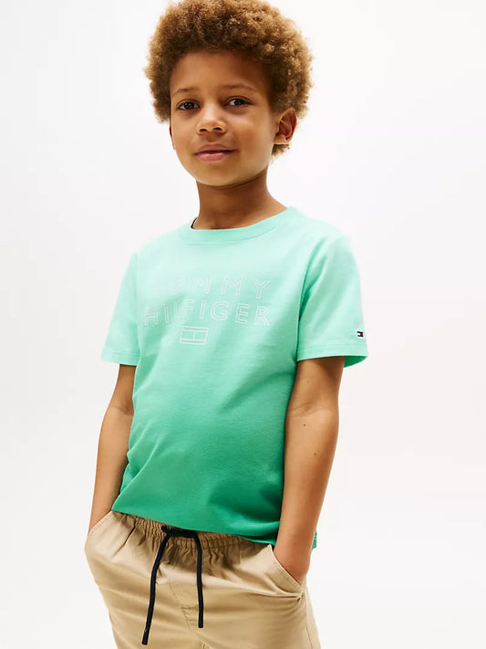 Tommy Hilfiger-Kids' Ombre Hilfiger Logo T-Shirt