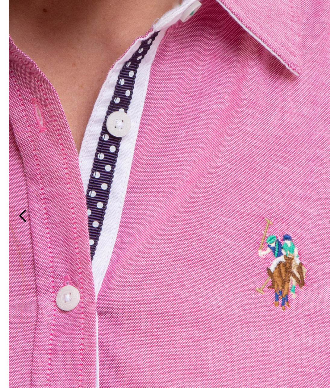 U.S Polo Assn Multi Tonal Small Logo Oxford Shirt