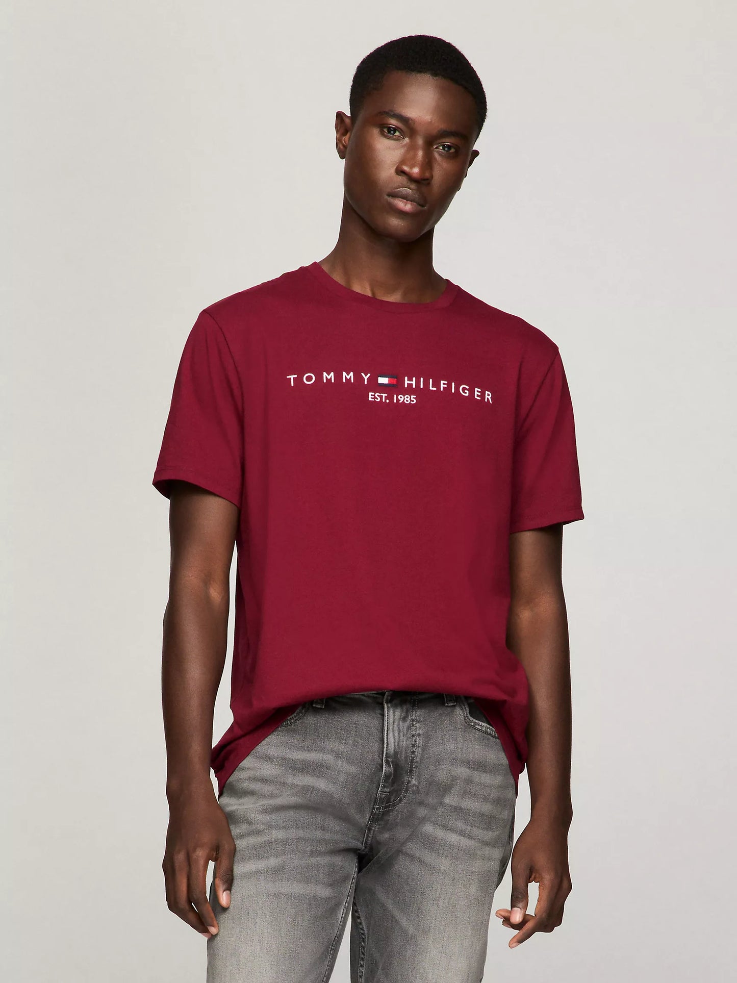 Tommy Hilfiger Embroidered Tommy Logo T-Shirt