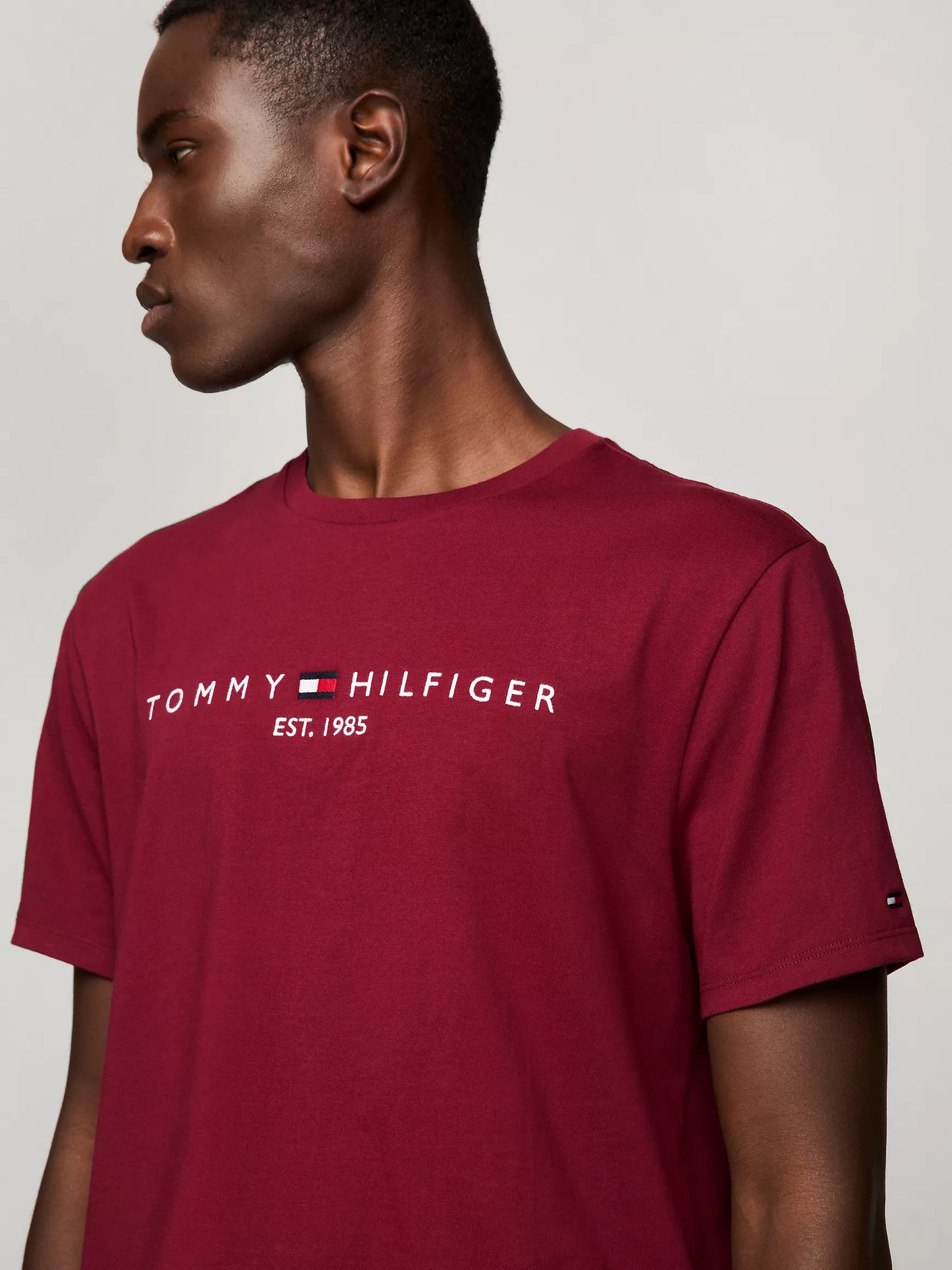 Tommy Hilfiger Embroidered Tommy Logo T-Shirt