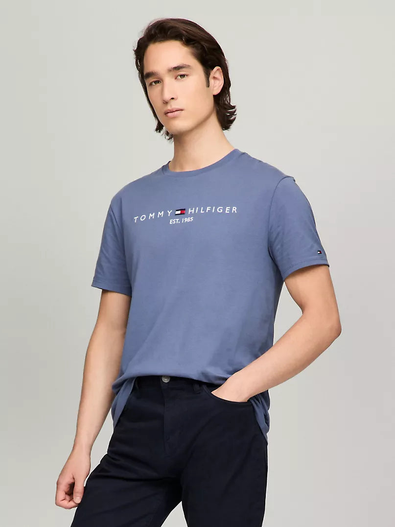 Tommy Hilfiger Embroidered Tommy Logo T-Shirt