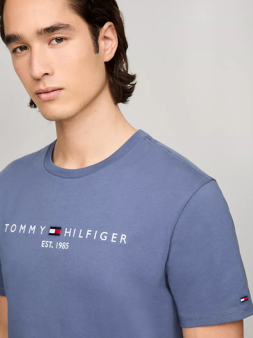 Tommy Hilfiger Embroidered Tommy Logo T-Shirt