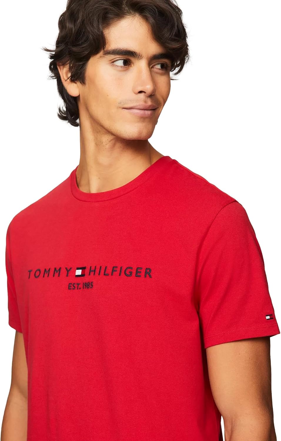 Tommy Hilfiger Tommy Logo Tee Men's T-Shirt