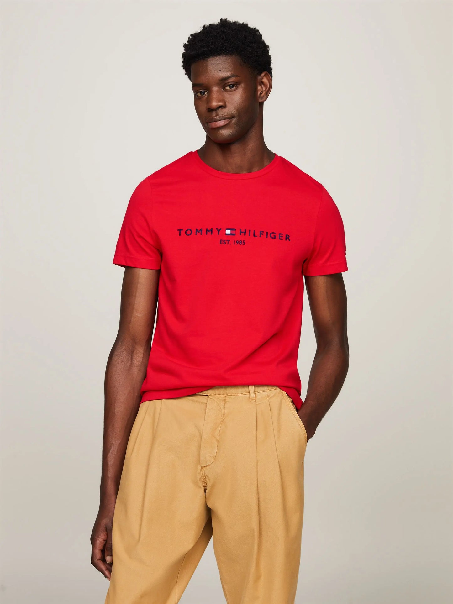 Tommy Hilfiger Tommy Logo Tee Men's T-Shirt