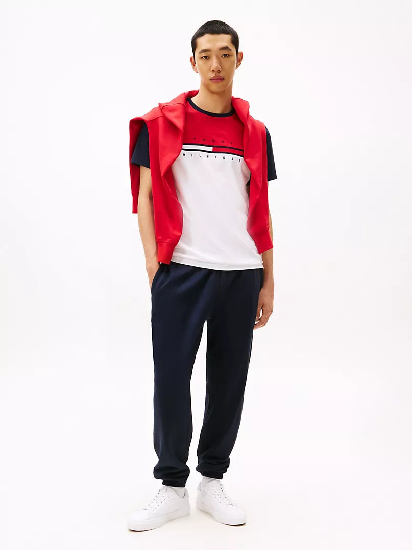 Tommy Hilfiger-Colorblock Flag Stripe Logo T-Shirt