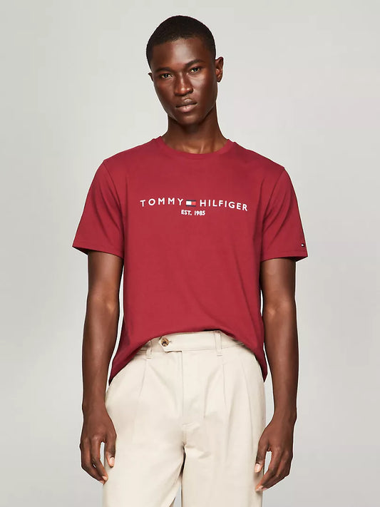 Tommy Hilfiger Embroidered Tommy Logo T-Shirt
