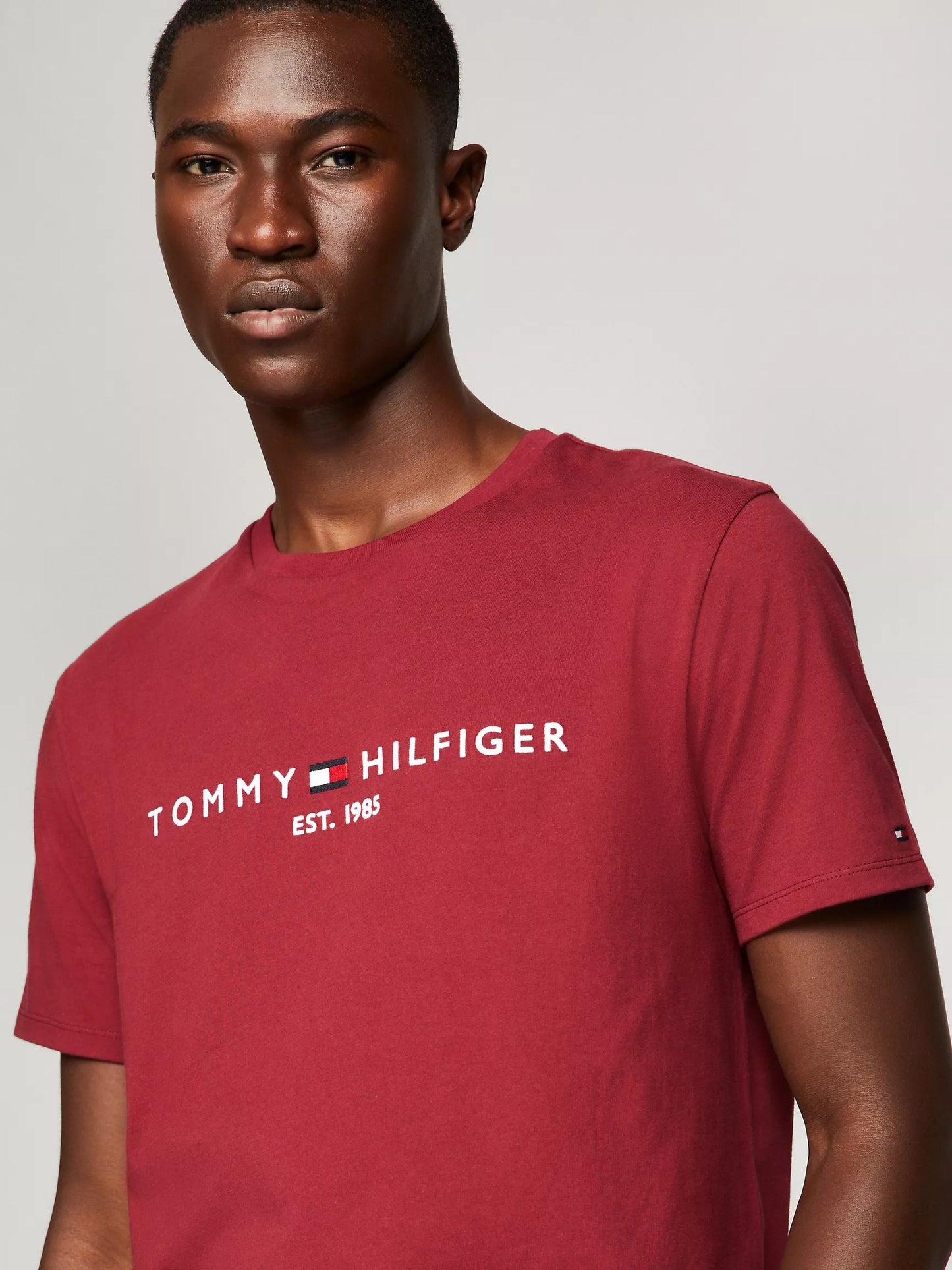 Tommy Hilfiger Embroidered Tommy Logo T-Shirt