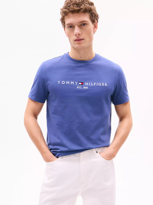 Tommy Hilfiger Embroidered Tommy Logo T-Shirt