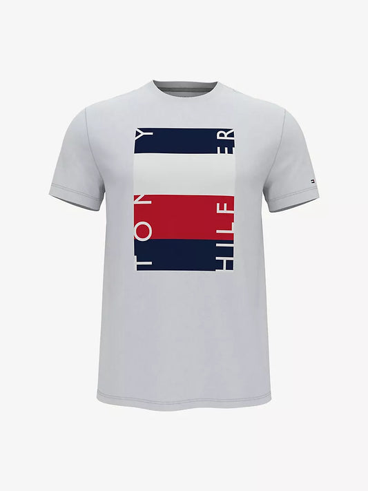 Tommy Hilfiger Essential Tommy Block T-Shirt