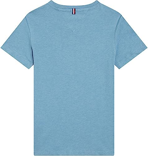 Tommy Hilfiger Boys Basic Vn Knit